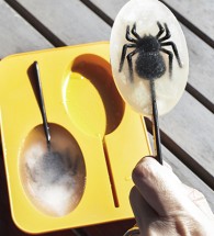 CU131-Spider Ice Pop Mold-ACTION-8437-fl