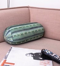 tt34-cactus_pillow-0278_1024x1024