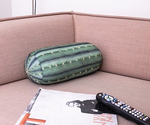 tt34-cactus_pillow-0278_1024x1024